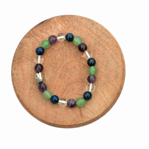 Study Bracelet